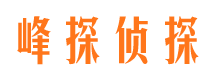 礼泉市场调查